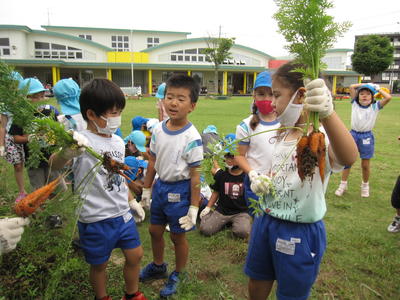 変わった形のにんじんもとれたよ！